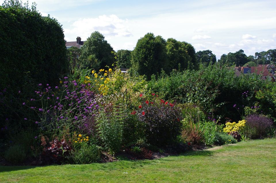 garden clearance garden make over