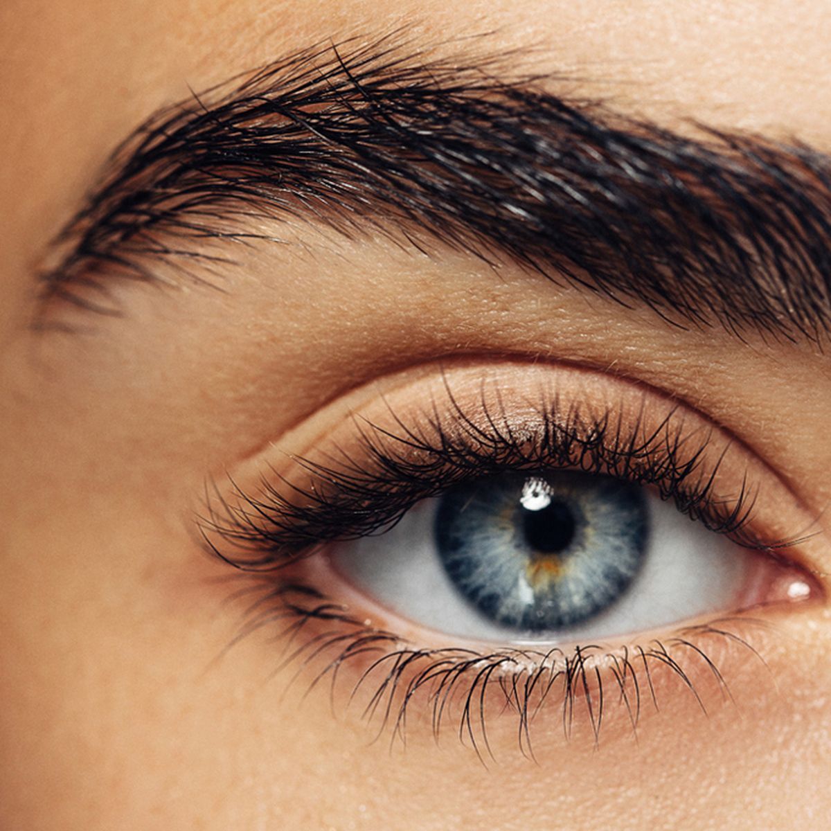 Augenbrauen zupfen Zürich | Brauen und Wimpern färben