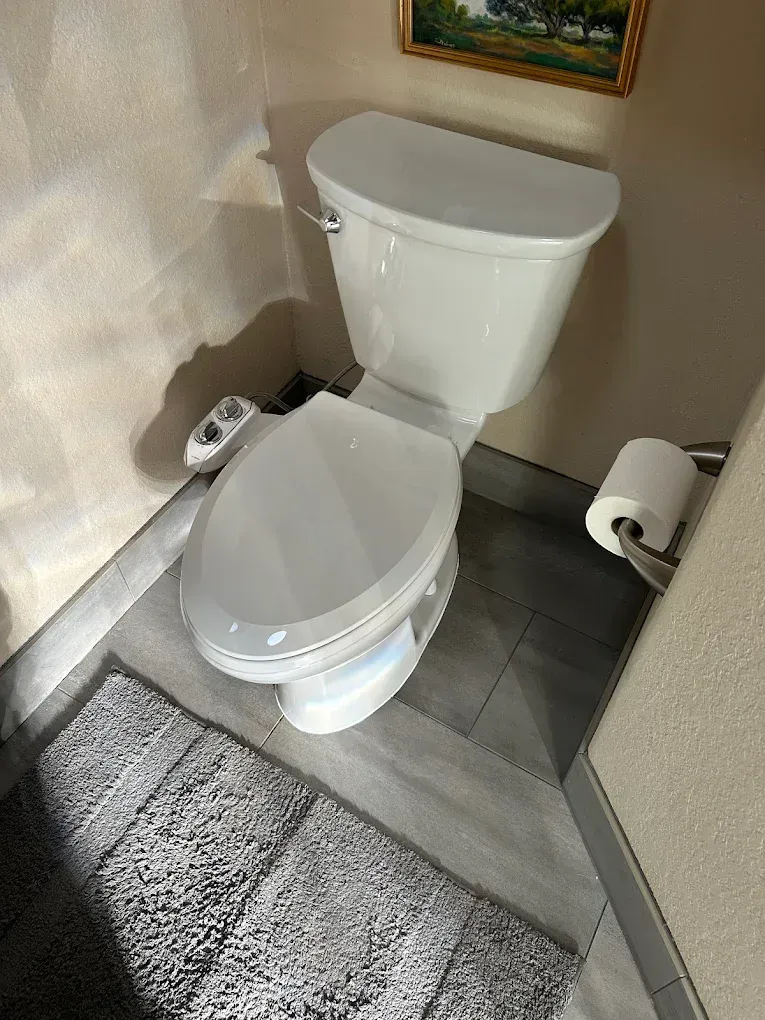 A white toilet is sitting in a bathroom next to a rug.
