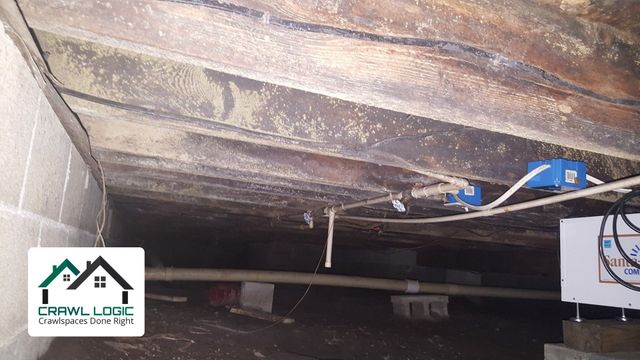 Mold in Crawl Space Atlanta GA