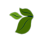 Logomarca do Ecovip