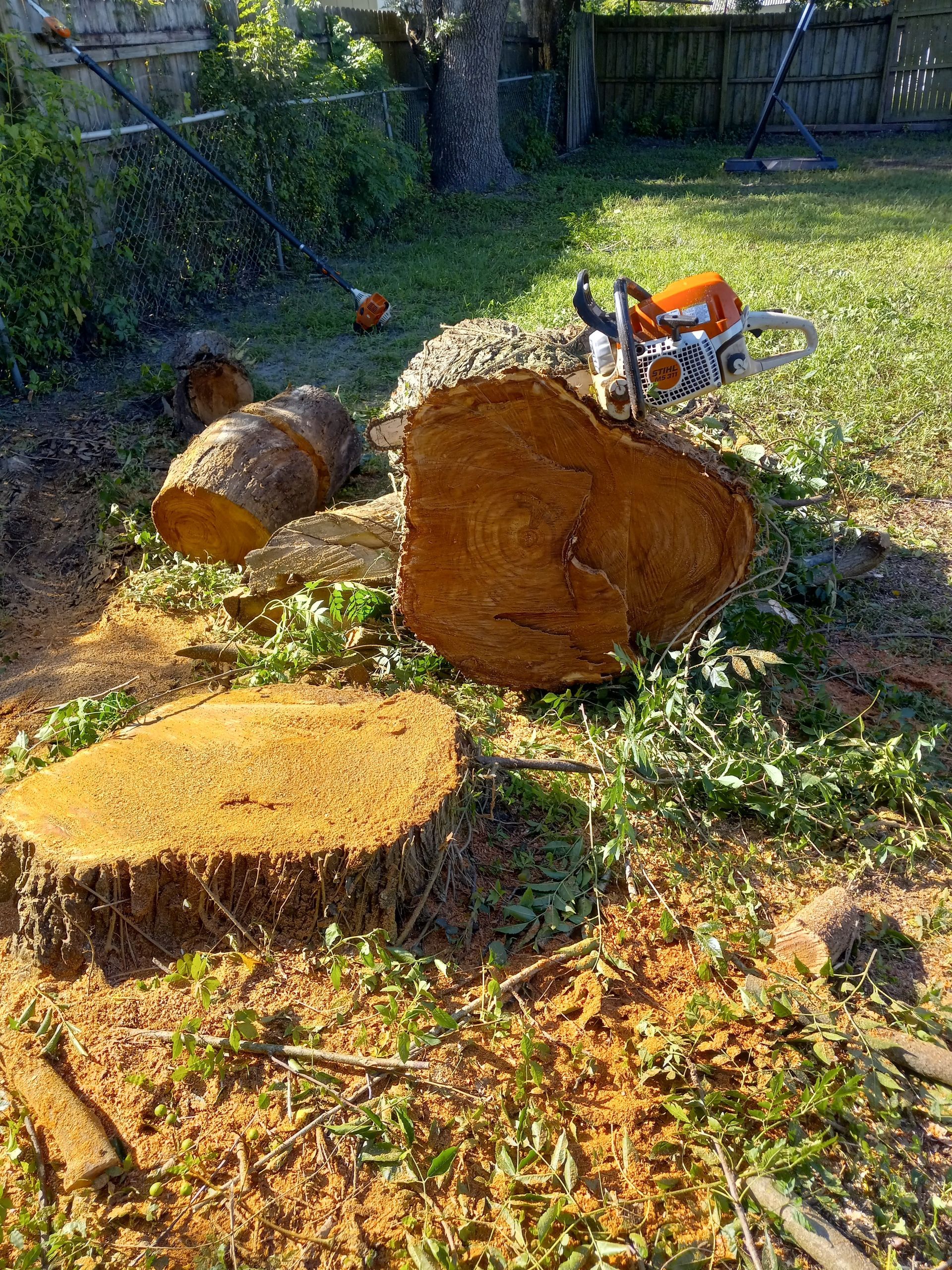 A chainsaw is cutting a tree stump in a backyard.
