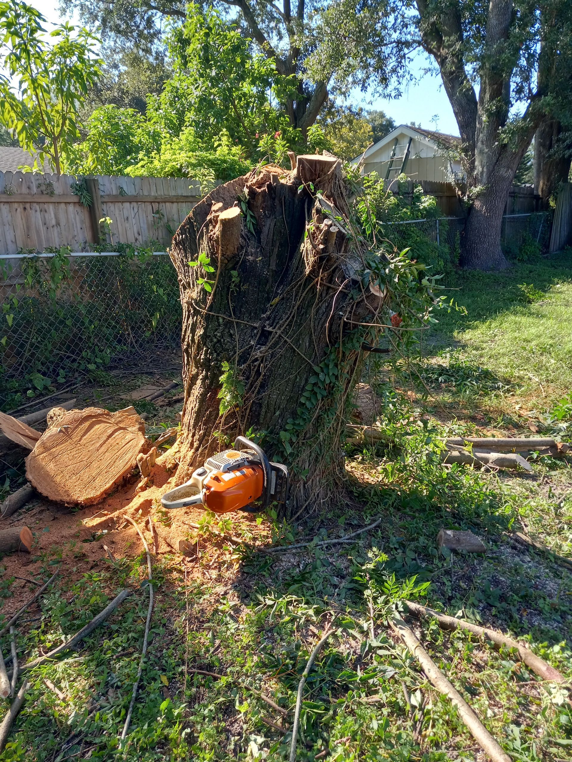 A chainsaw is sitting on top of a tree stump in a yard.