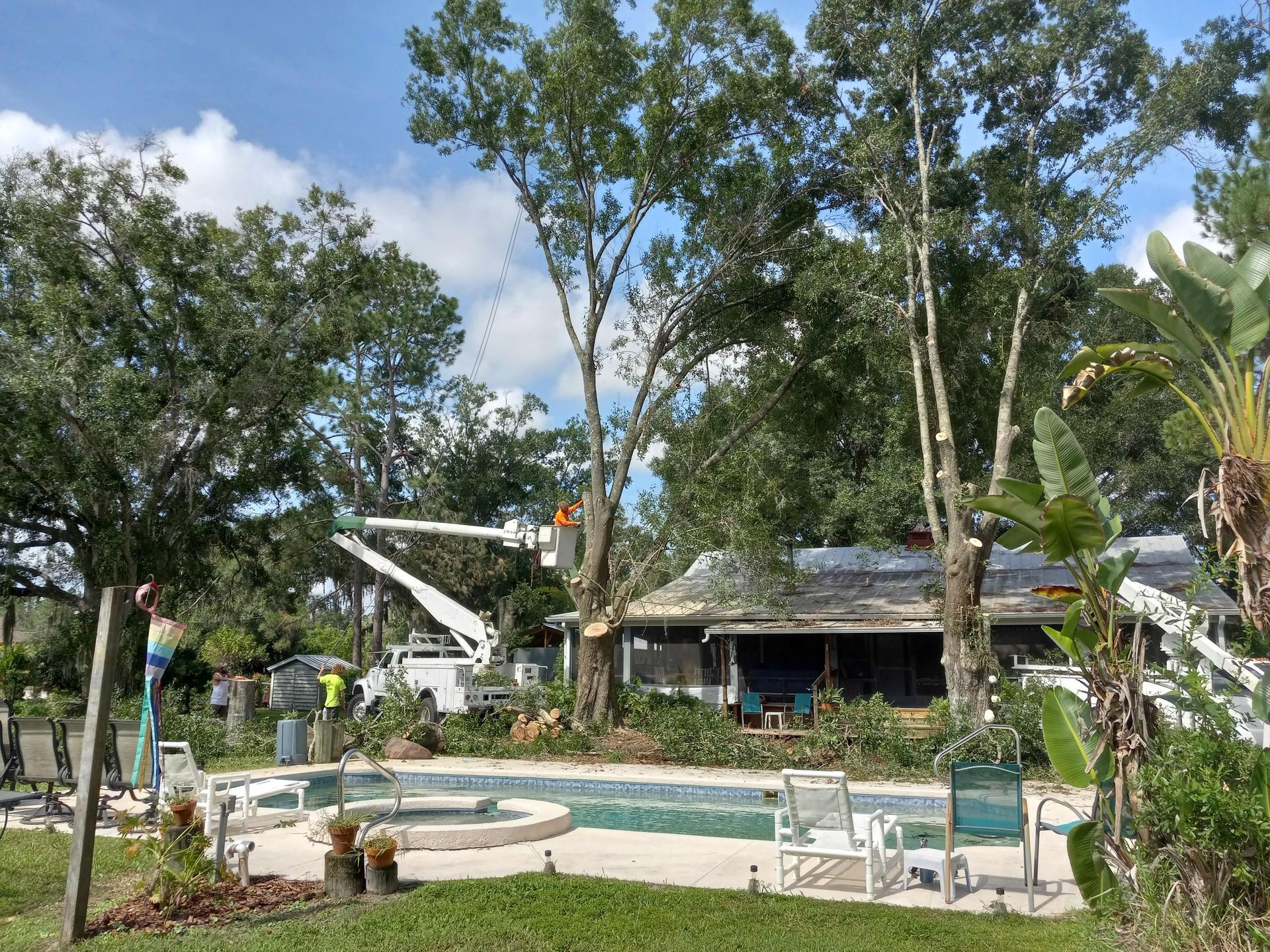 A house with a pool and trees in front of it.