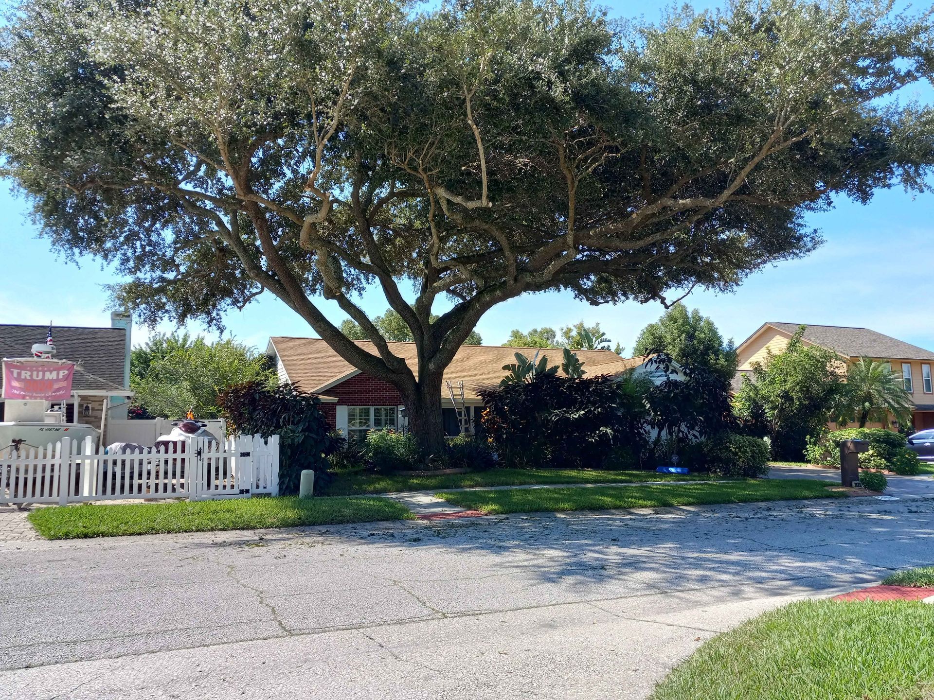 A large tree is in front of a house in a residential area.