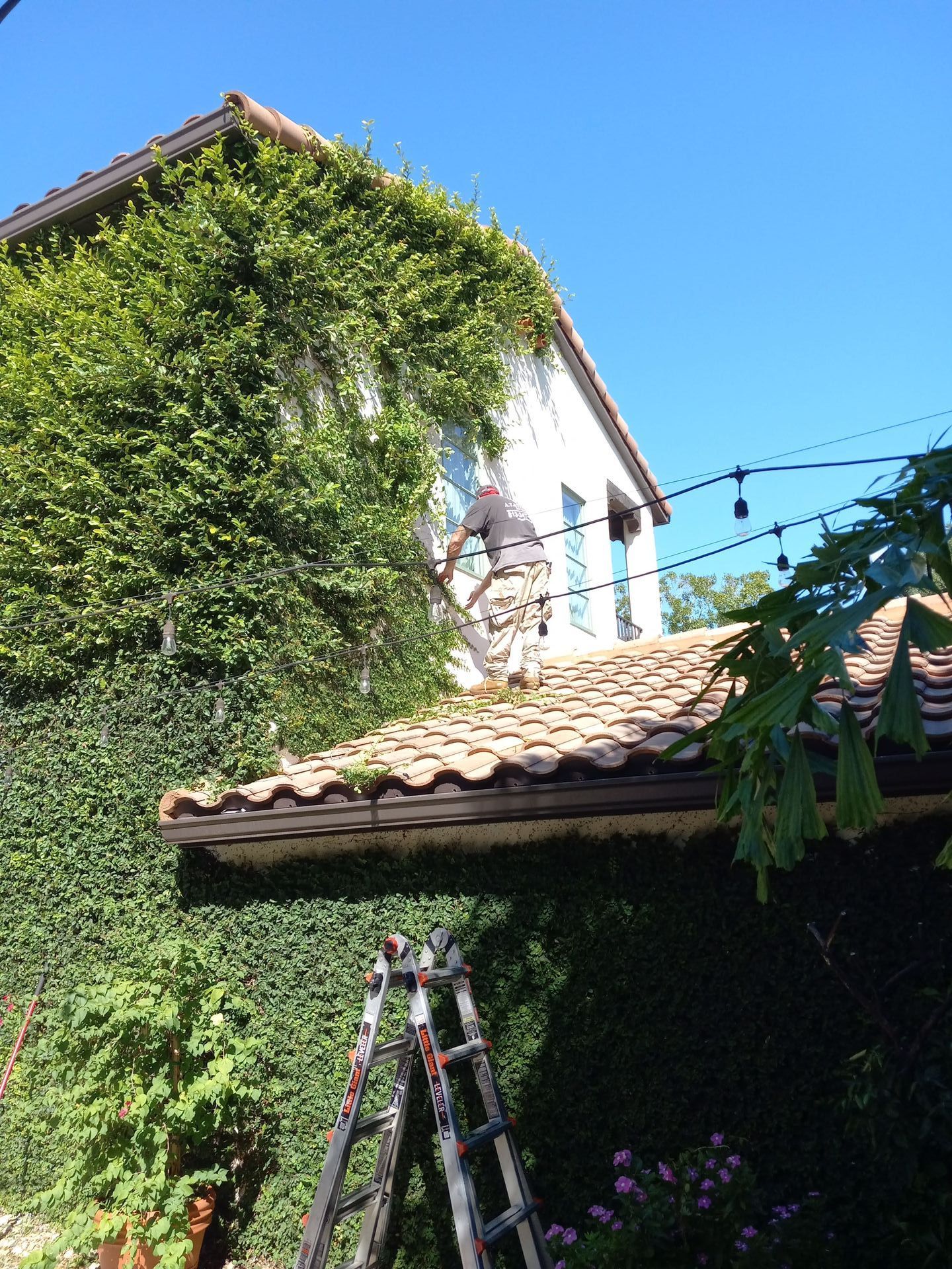 A man is standing on the roof of a house.