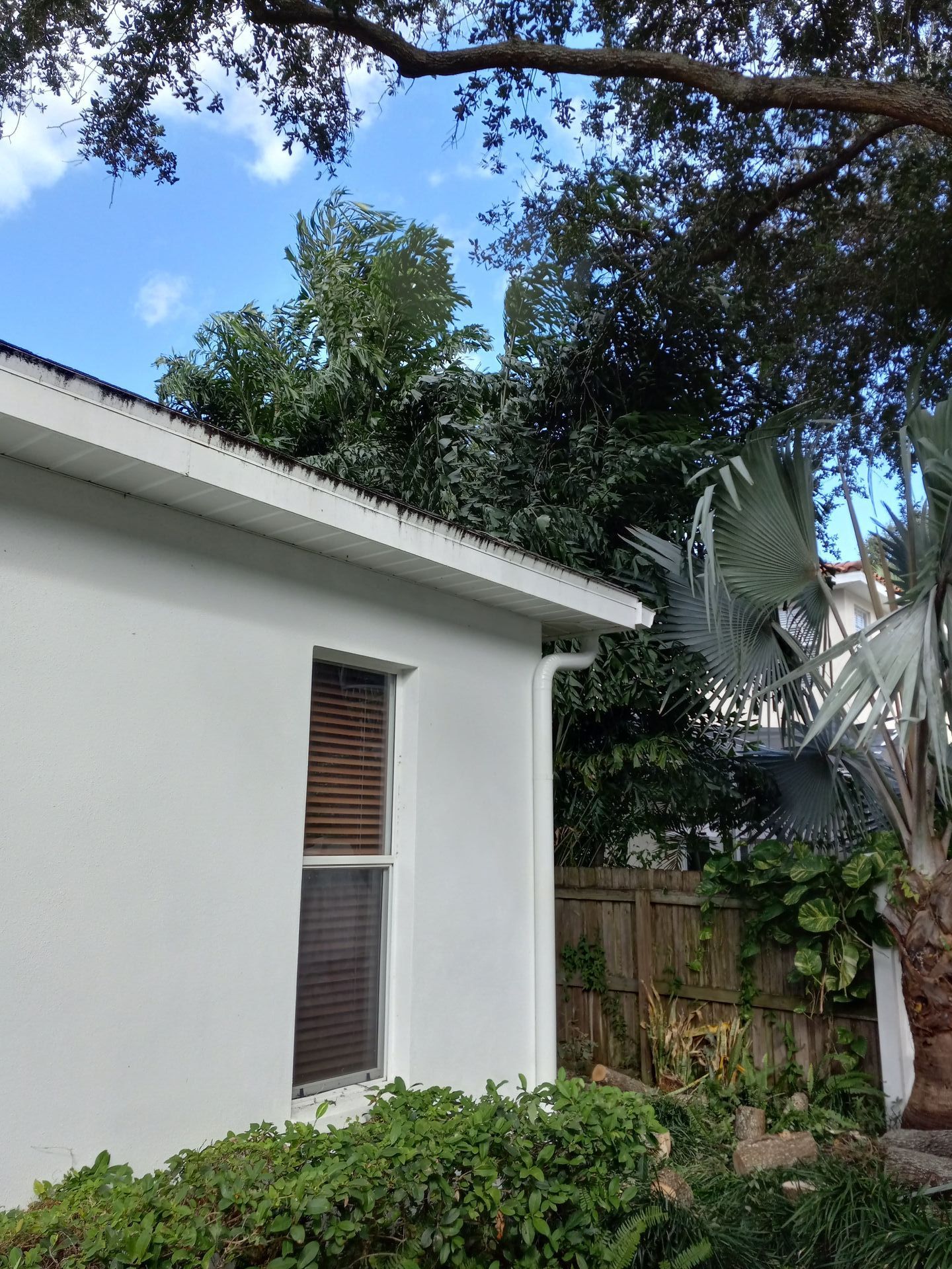 A white house with a fence and a tree in front of it.
