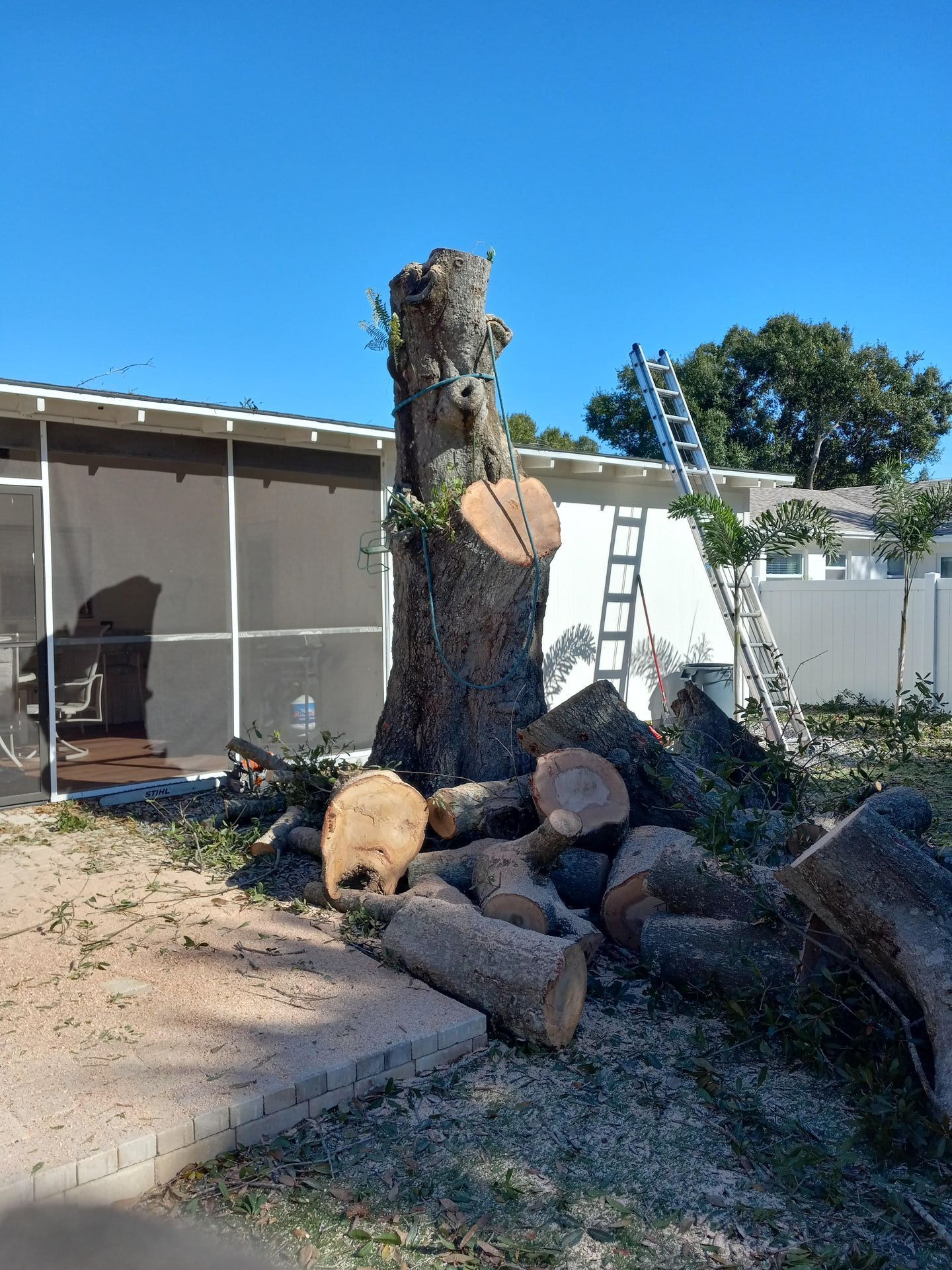 A large tree stump is sitting on top of a pile of logs in front of a house.