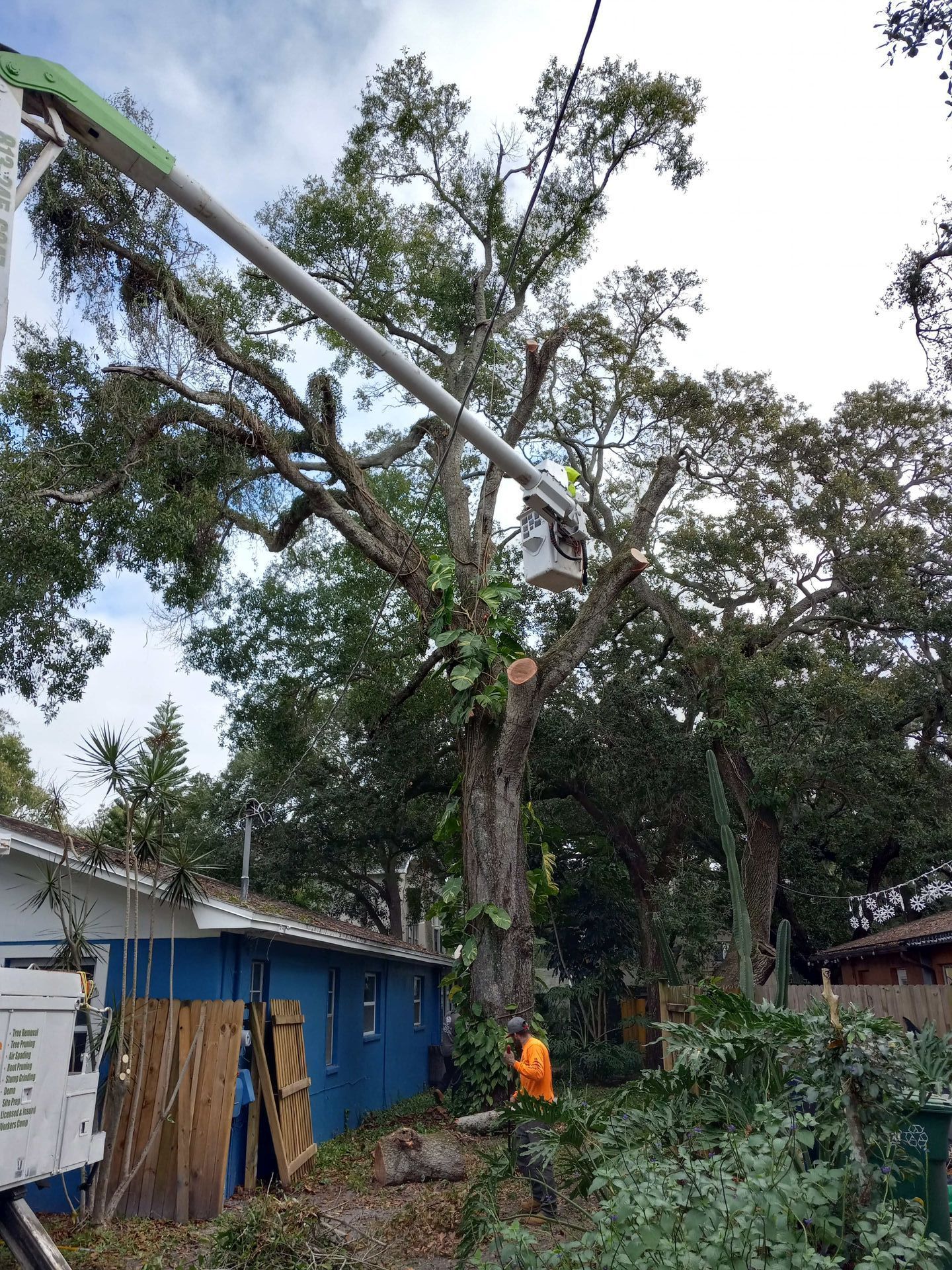 A tree being cut down by a crane in front of a house.