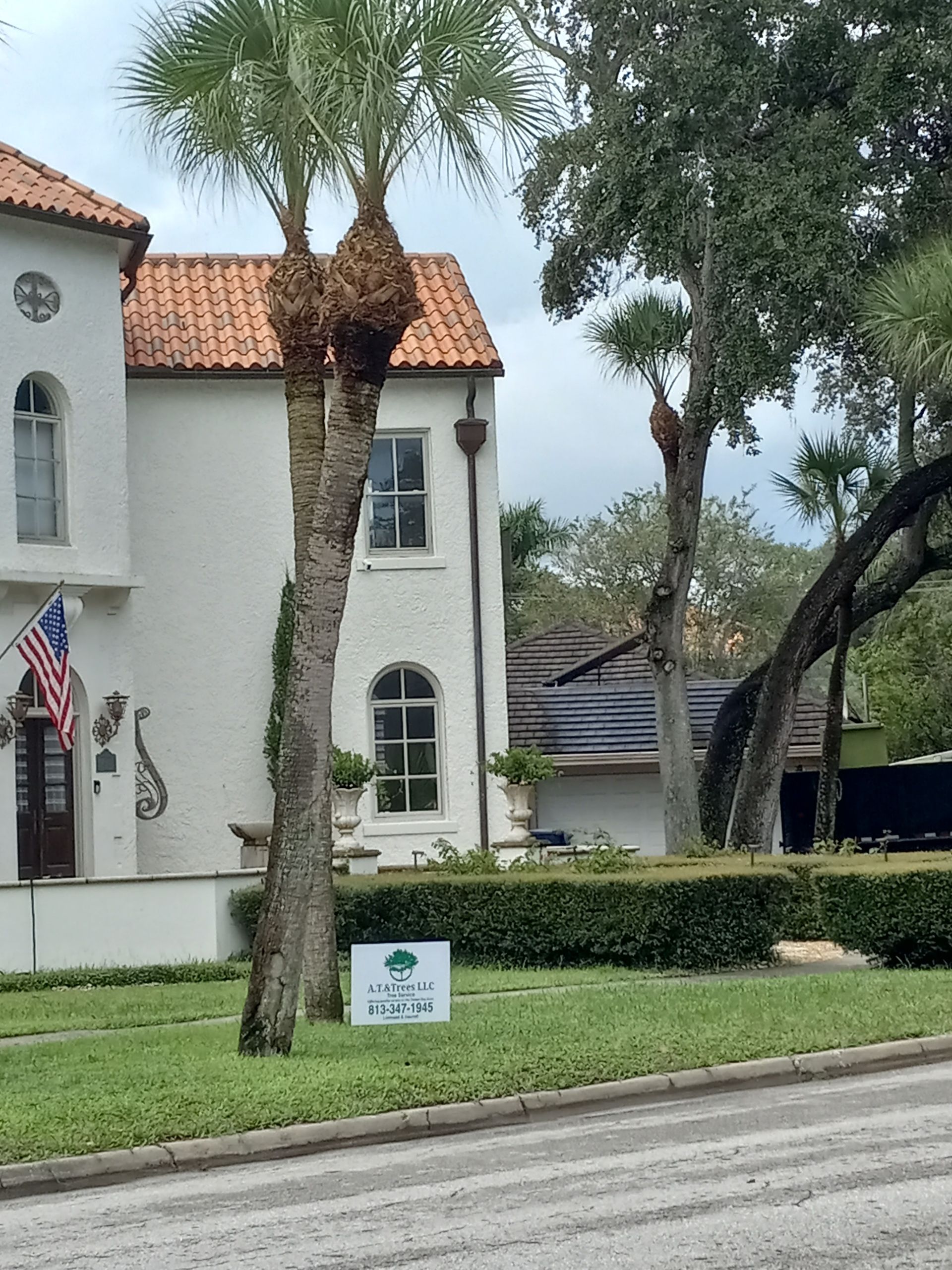 A white house with a palm tree in front of it