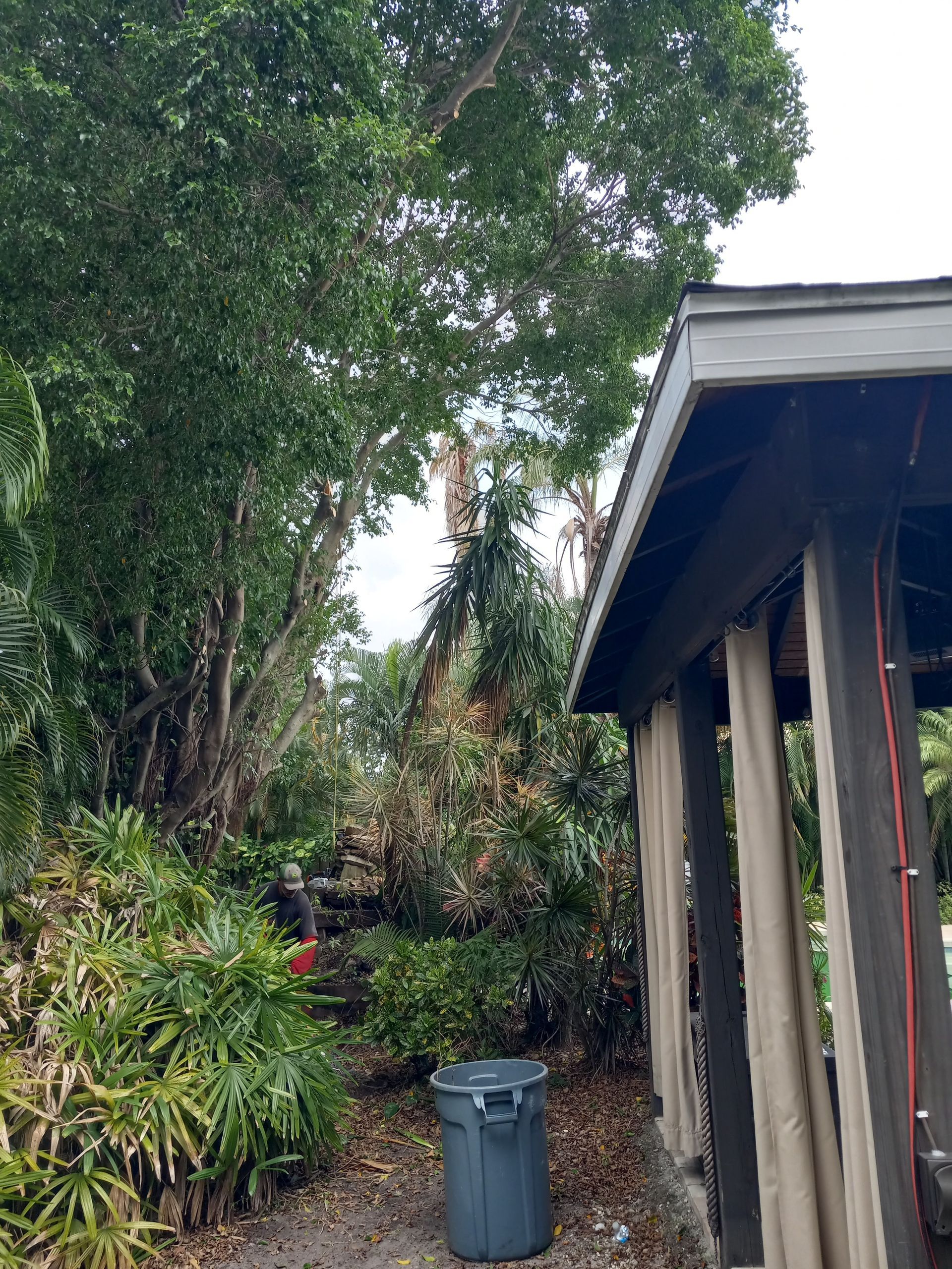 A trash can is sitting in front of a shed surrounded by trees.