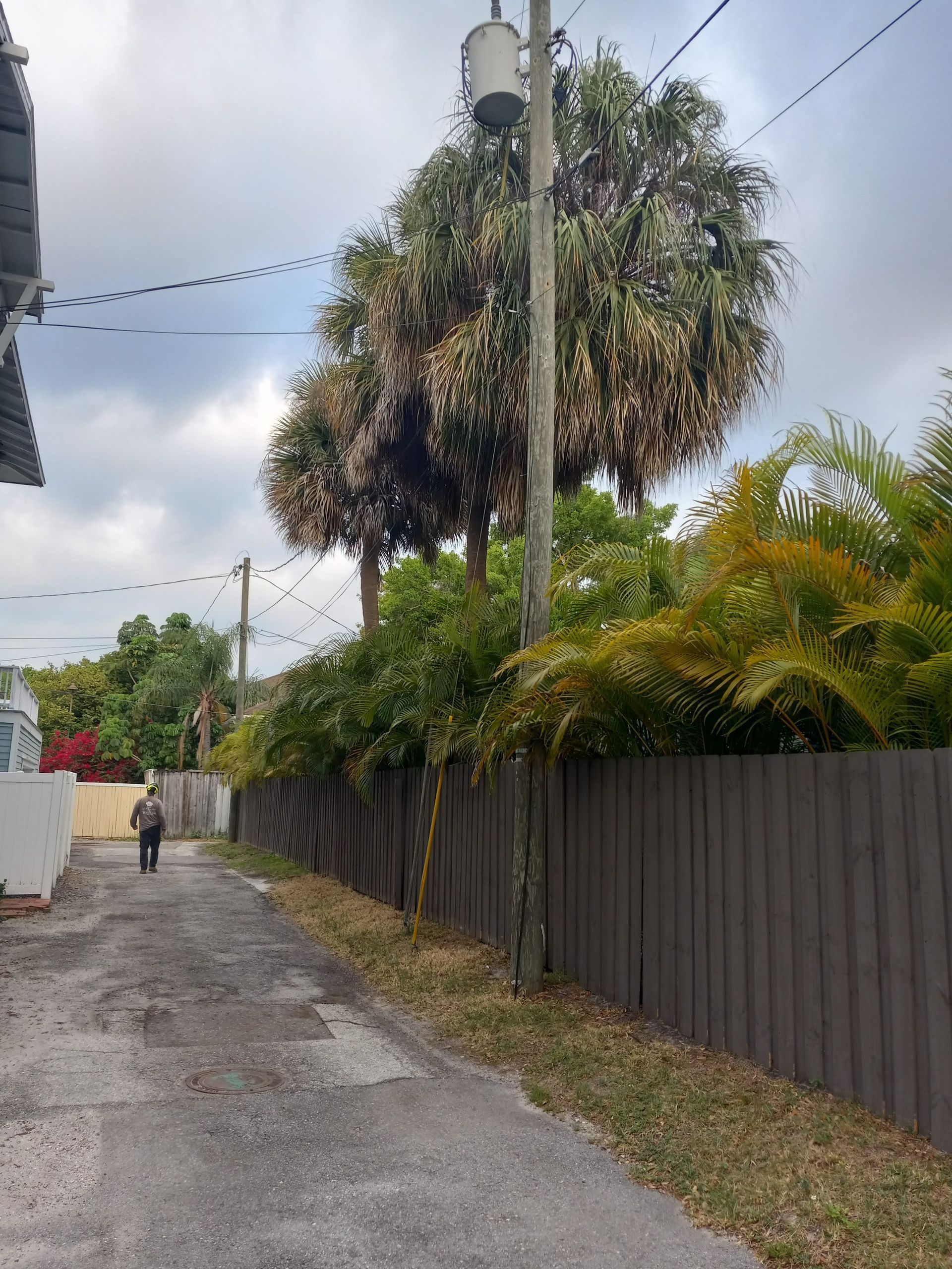 A man is walking down a dirt road next to a wooden fence and palm trees.