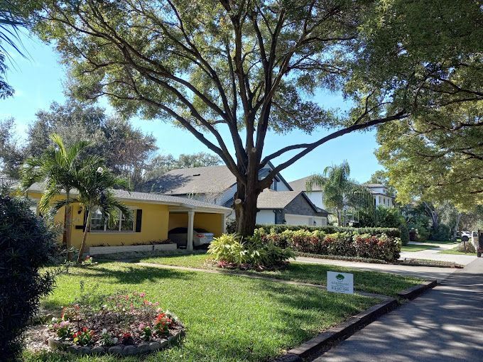 A yellow house with a tree in front of it