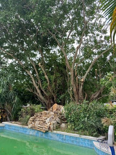 A man is standing next to a swimming pool surrounded by trees.