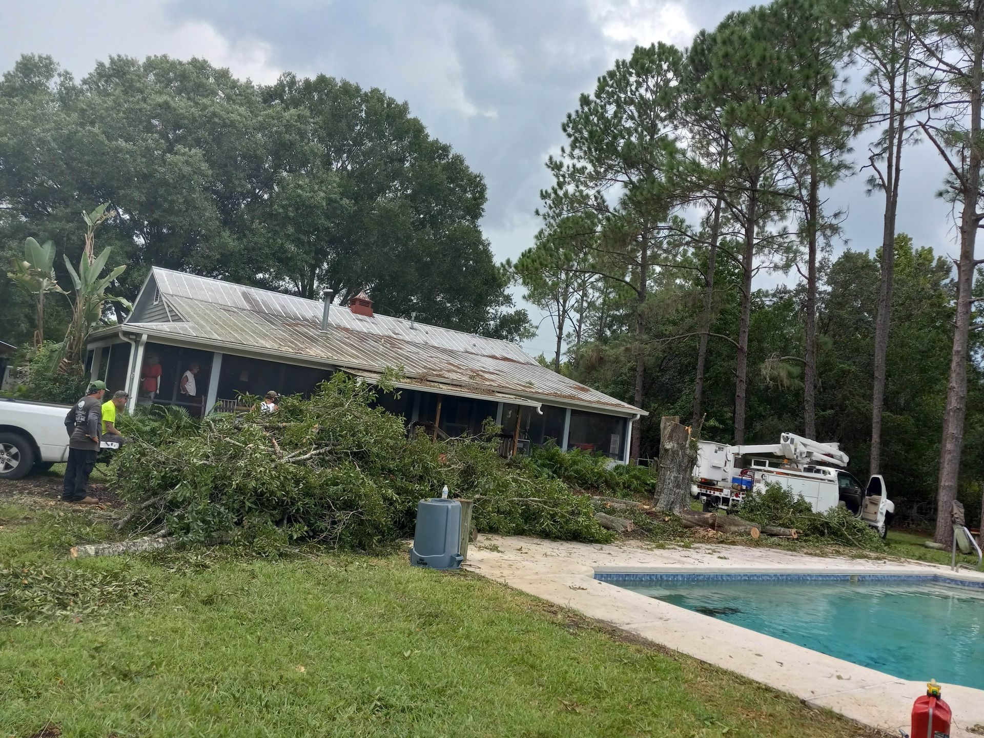 A man is working on a tree in front of a house.