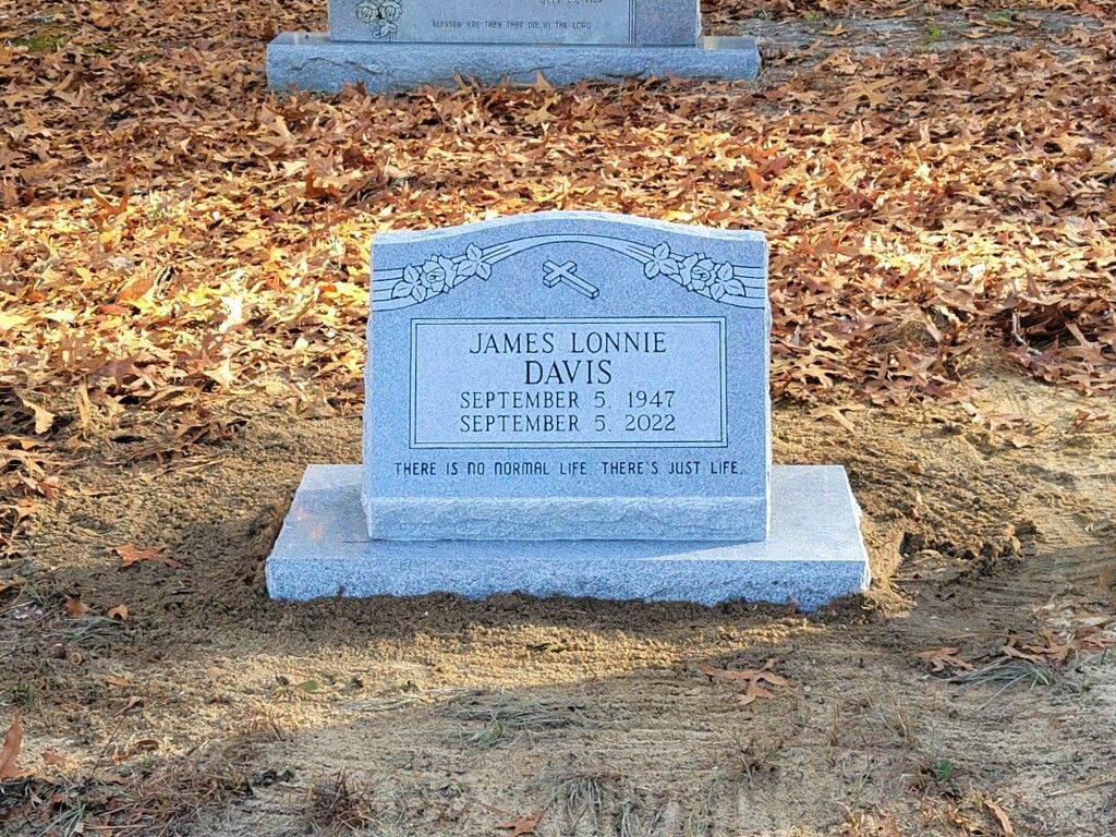 a small gravestone in a cemetery surrounded by leaves .