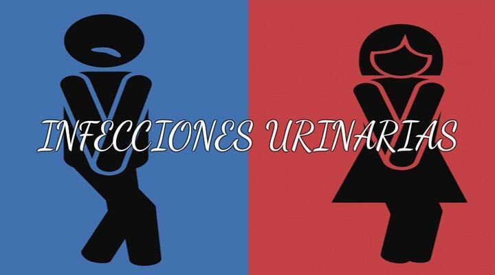 Dr. Ángel Pozos Castro