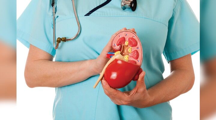 Dr. Ángel Pozos Castro