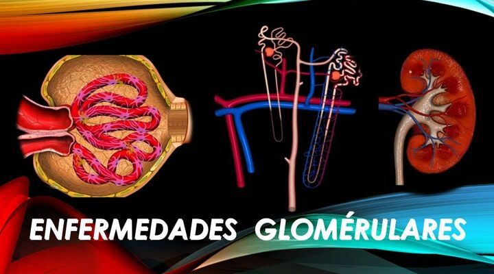 Dr. Ángel Pozos Castro