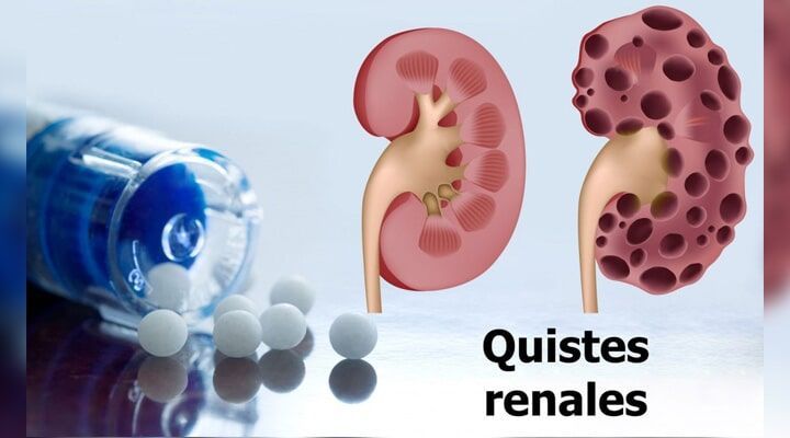 Dr. Ángel Pozos Castro