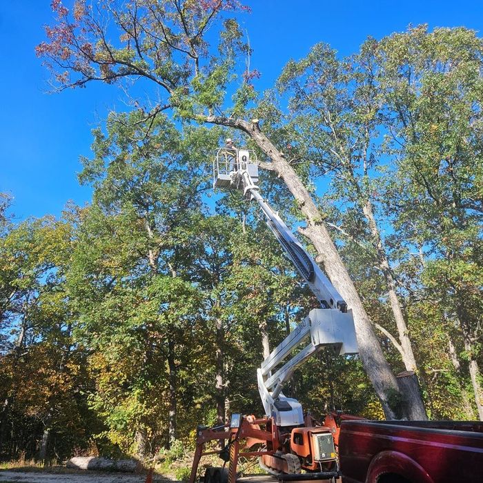 Cutting Tree Branches — Blackwell, MO — Reynolds Tree Service