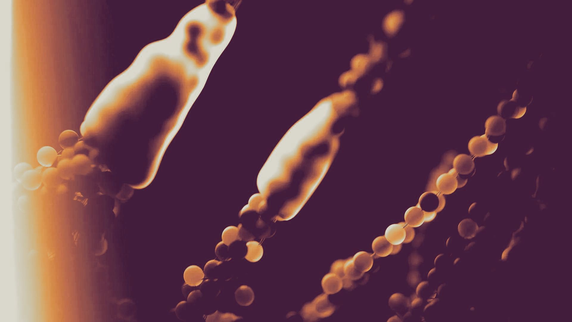 Abstract illustration with floating, beaded strands in shades of brown and tan against a dark backdrop.