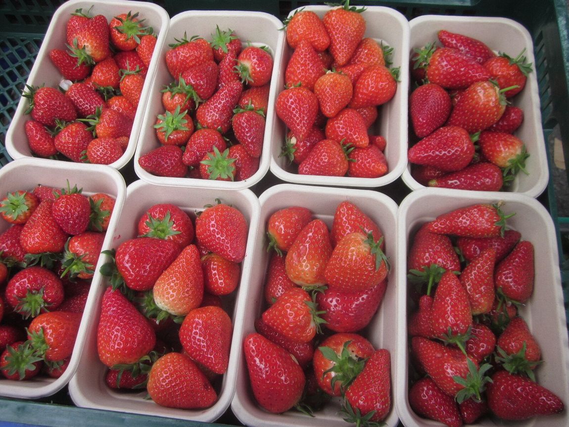 Maidenhead Farmers' Market