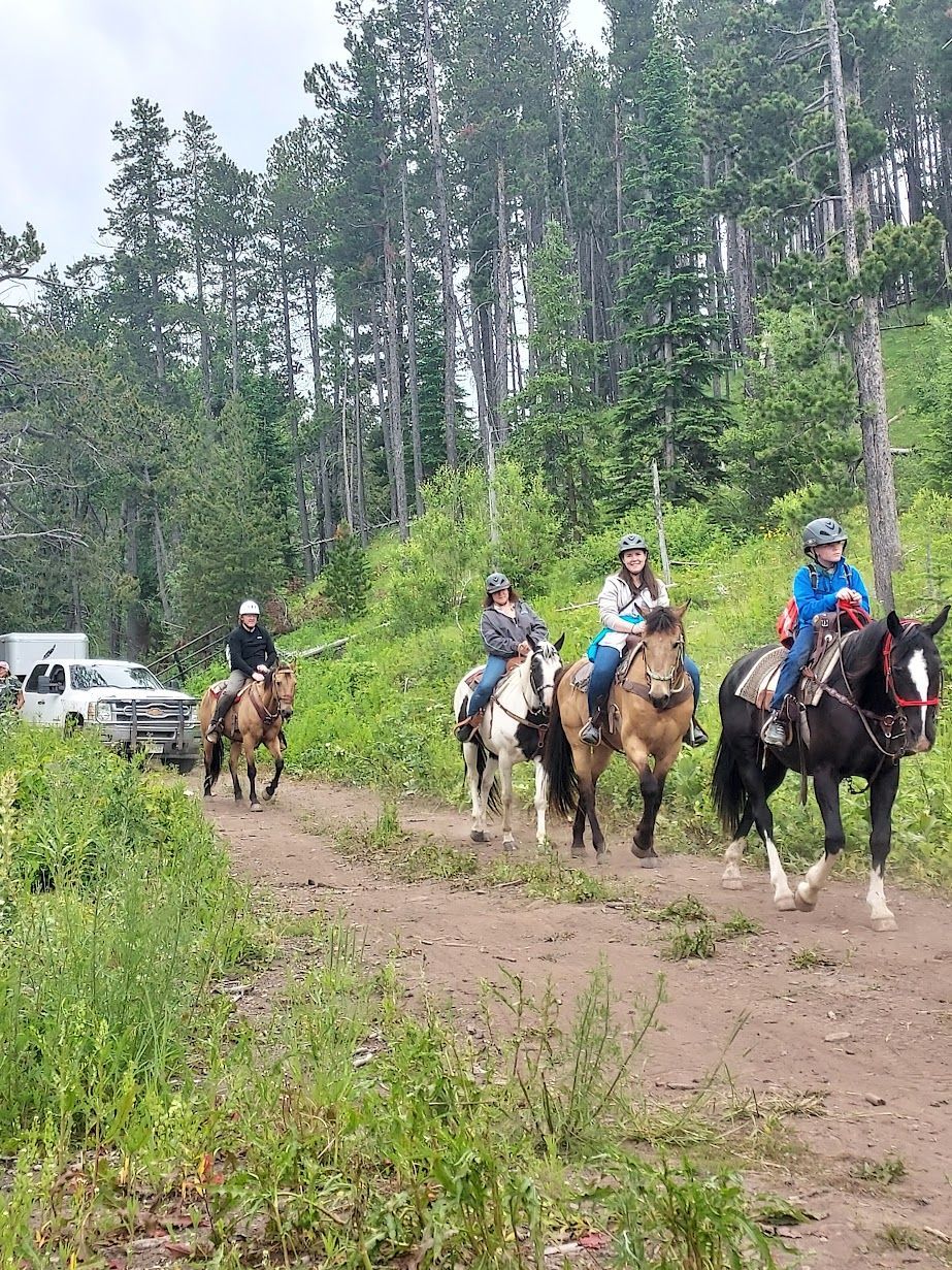 A group of people are riding horses down a dirt road.
