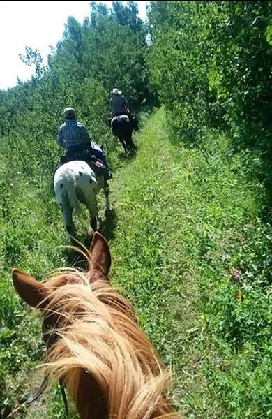A Group of People Riding Horses Down a Grassy Hill