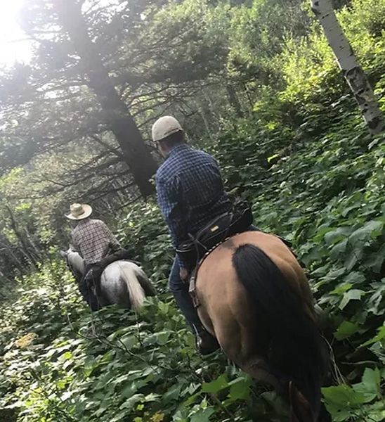 Two Men Are Riding Horses Through a Lush Green Forest