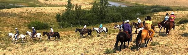 A Group of People Are Riding Horses in a Field