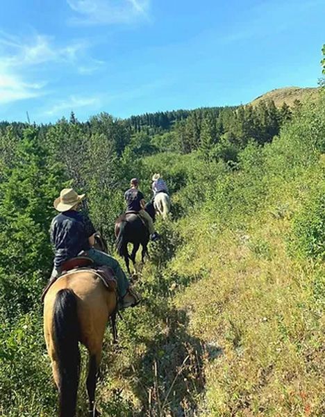 A Group of People Are Riding Horses Down a Trail