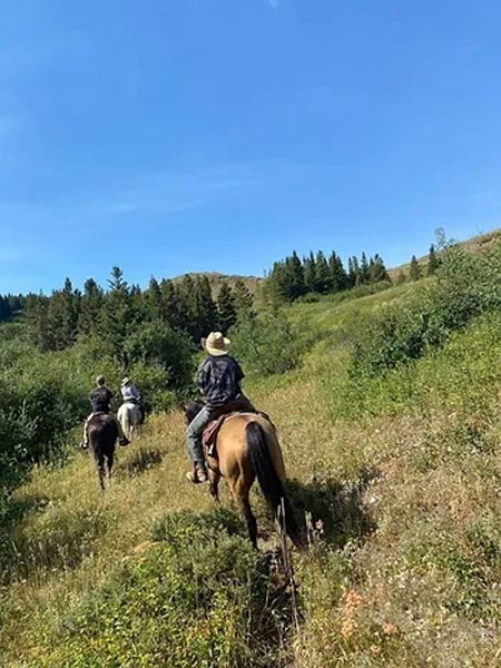 A Group of People Are Riding Horses Down a Grassy Hill