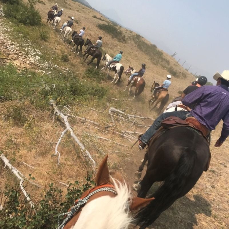 Group of People Riding Horses Down the Hill
