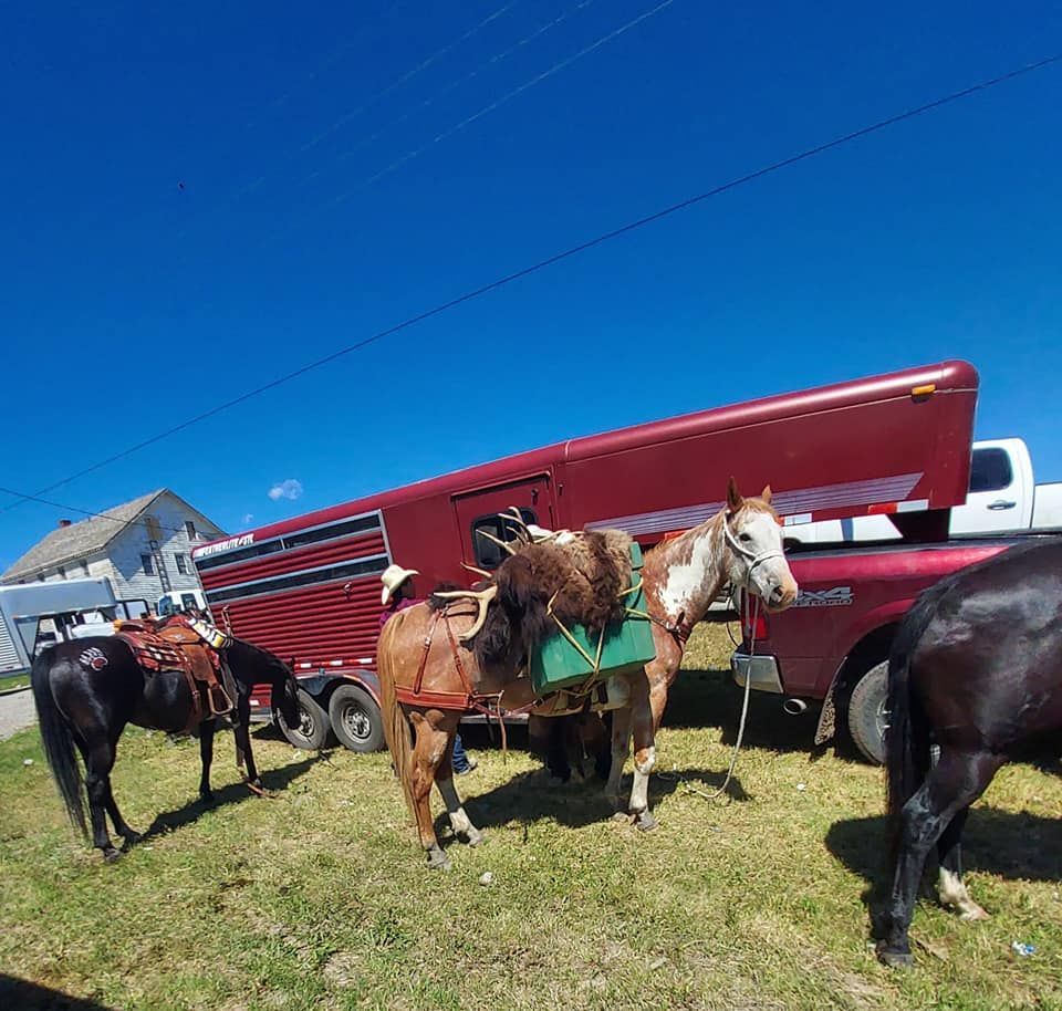A Group of Horses Standing in Front of a Red Truck