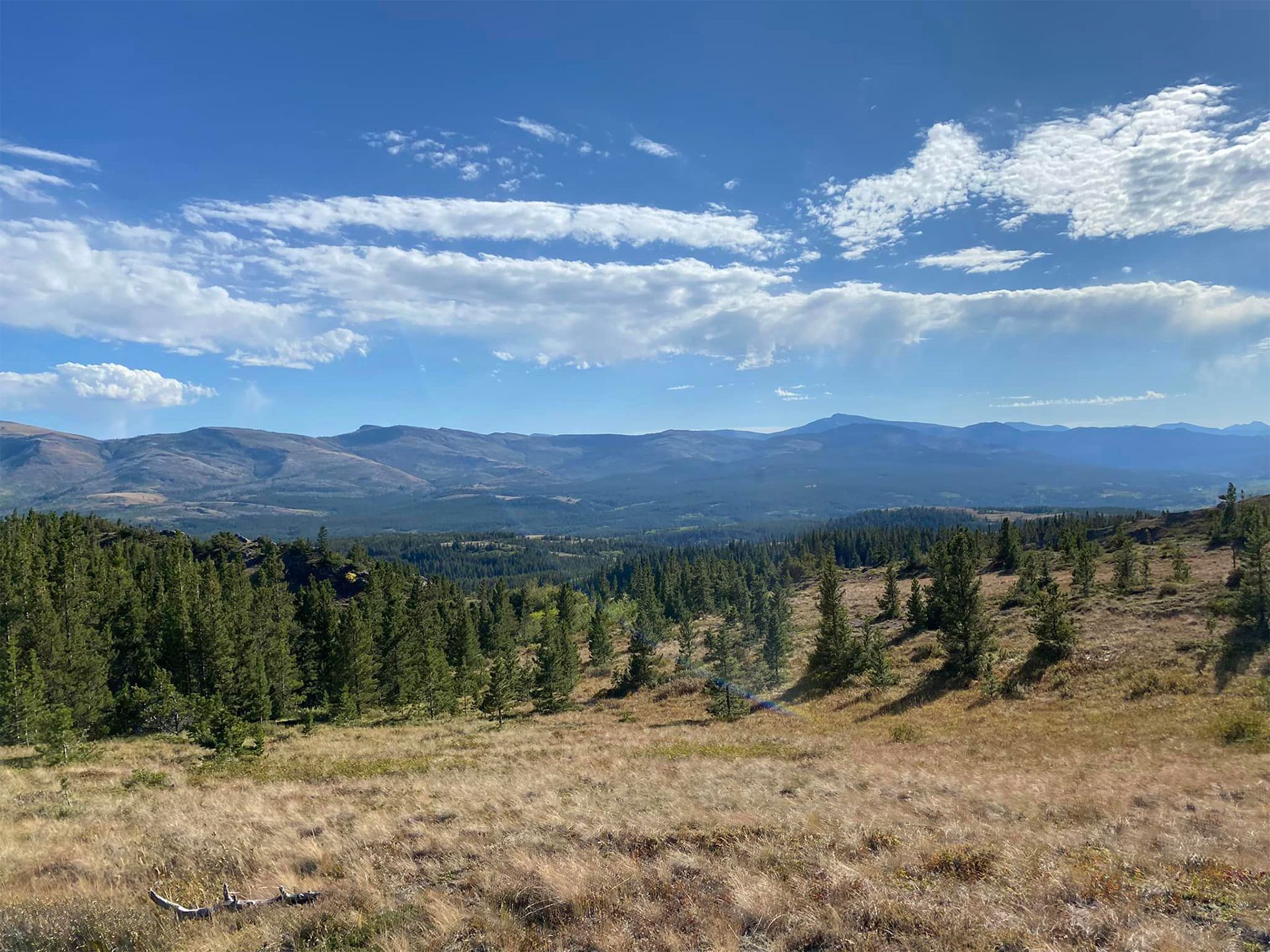 A View of a Field With Mountains in the Background on a Sunny Day