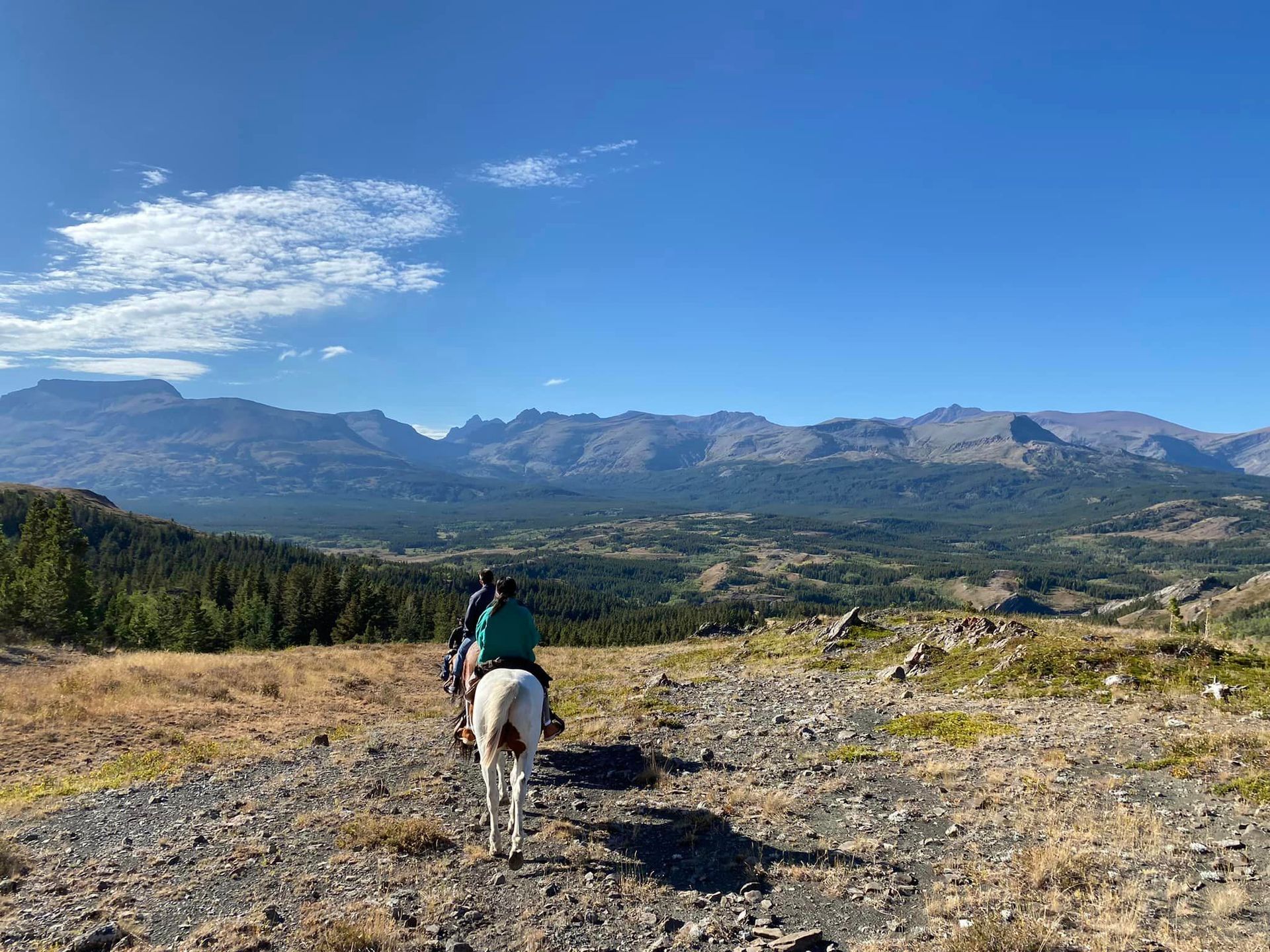 Two People Are Riding Horses on a Dirt Road in the Mountains