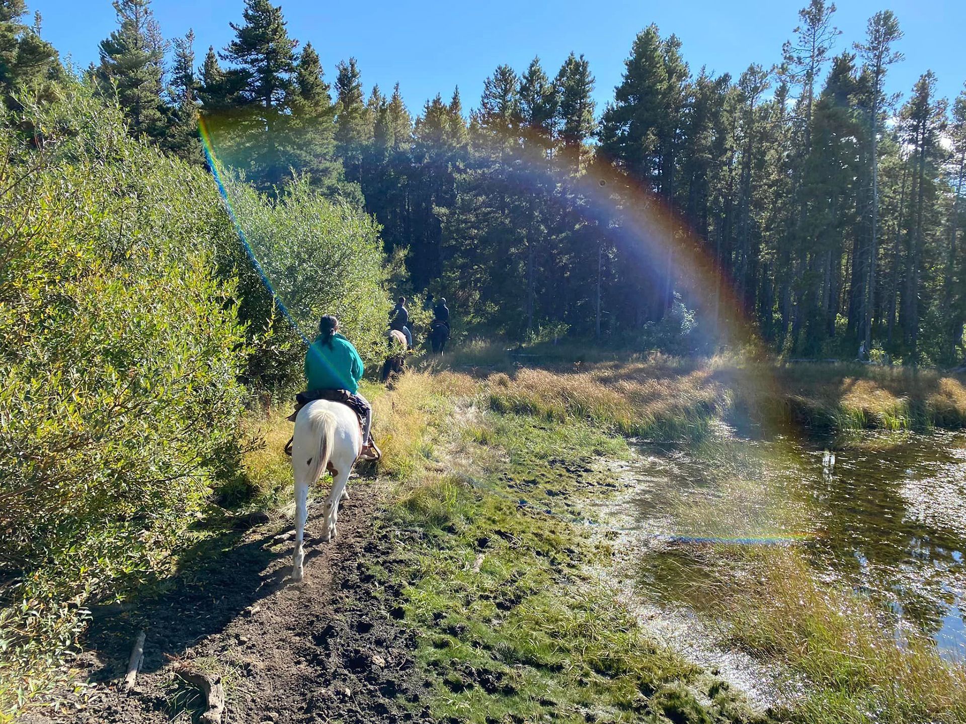 A Person is Riding a Horse on a Dirt Path in the Woods