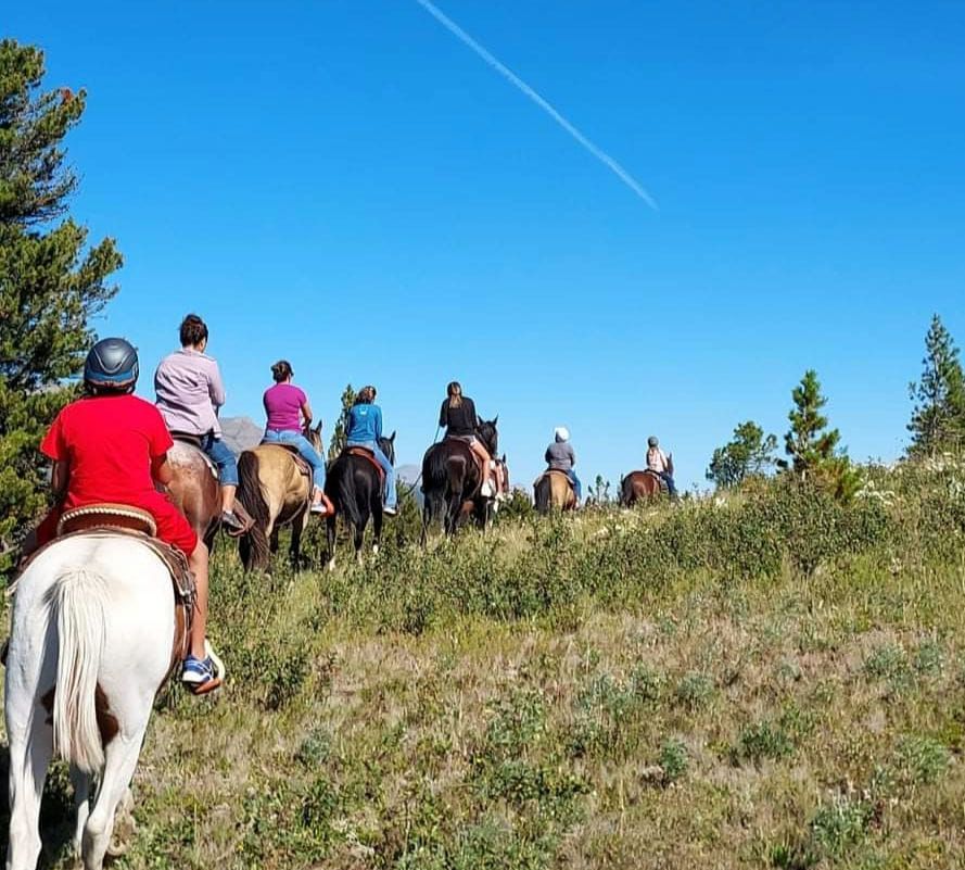 A Group of People Are Riding Horses Through a Grassy Field