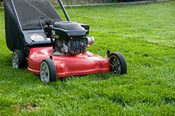 Lawn Mower Repair Service At Home - Quality Lawn Mower Repair And