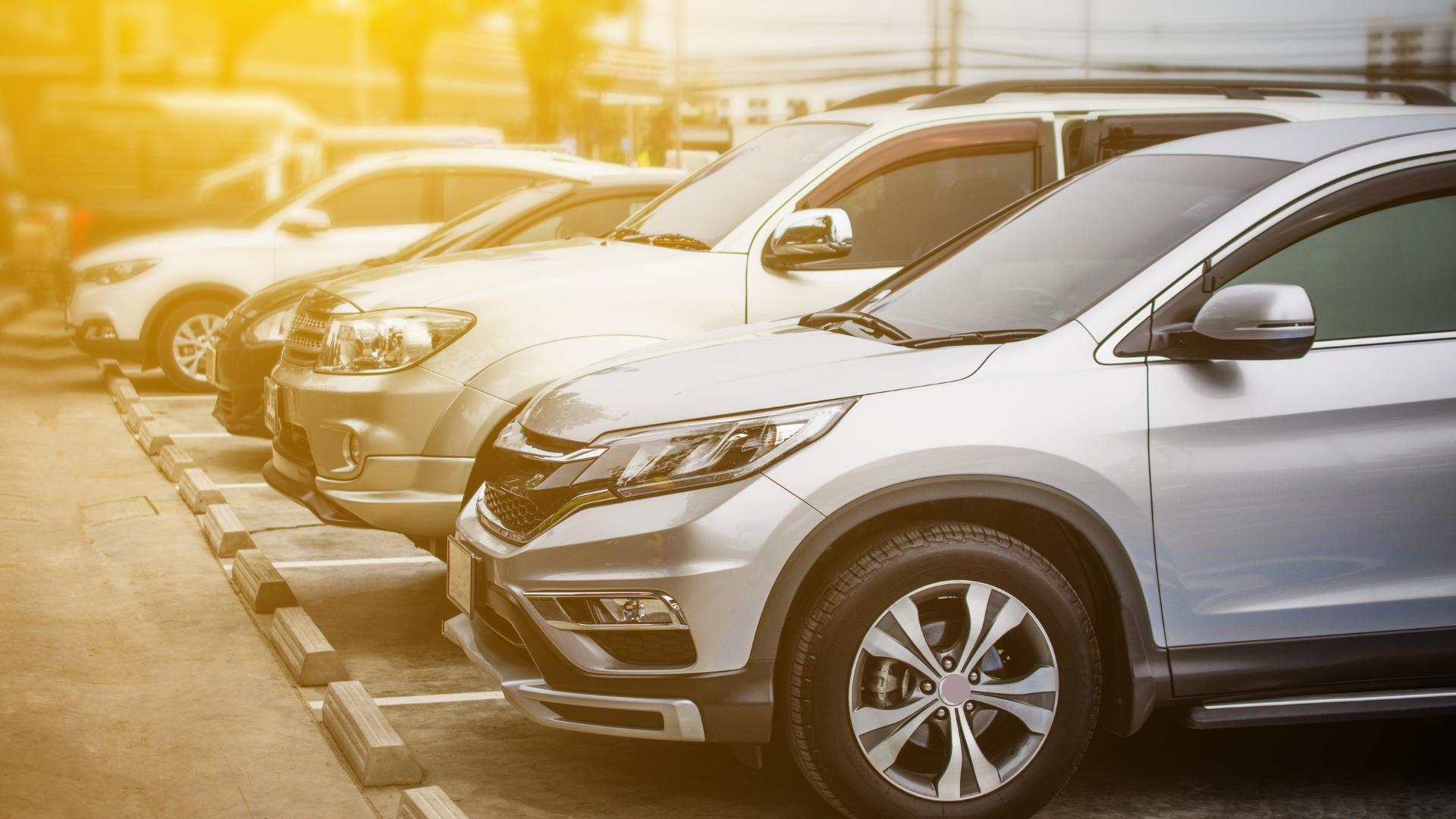 Cars parked in a row in a parking lot, bathed in sunlight.