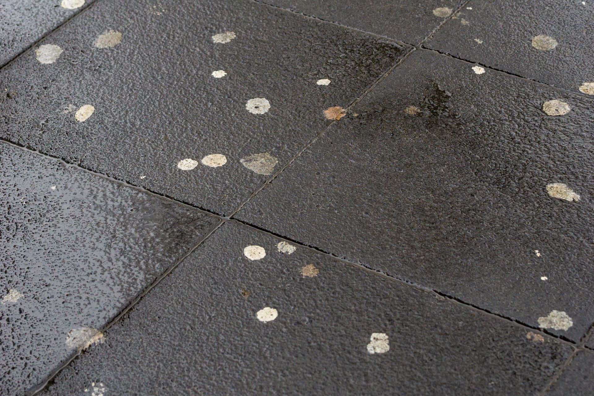 A close up of a black tile floor with white spots on it.