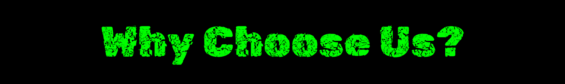 Bright green text reading “Why Choose Us?” on a black background