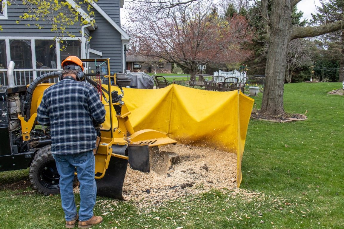 A person in a plaid shirt and hard hat operates a yellow stump grinder in a grassy yard, surrounded by wood chips.