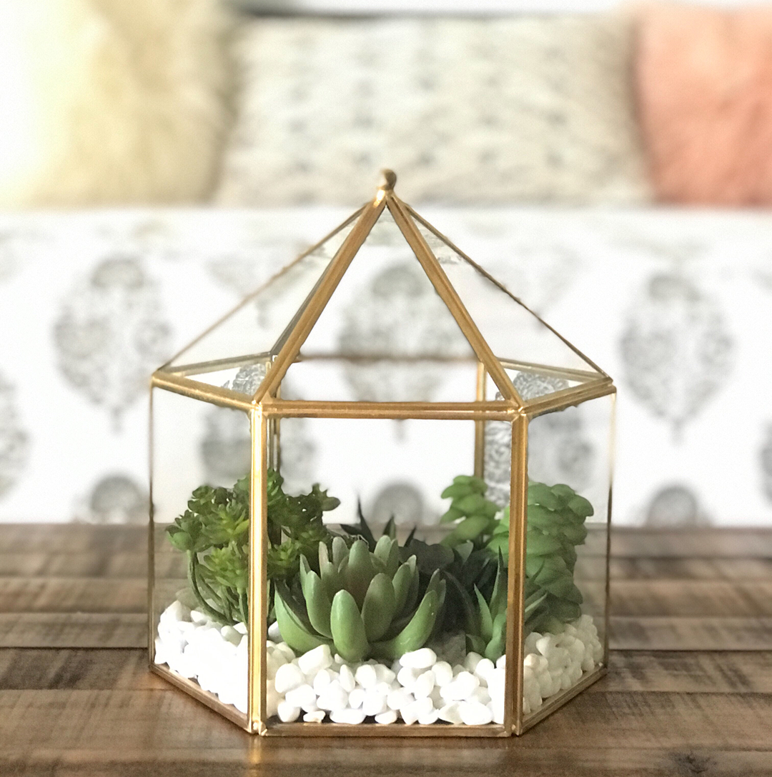 terrarium of succulents image