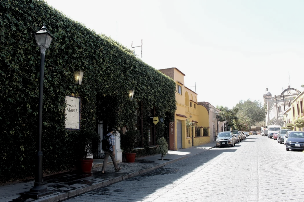Una calle adoquinada bañada por el sol, bordeada de edificios, entre los que se incluye un muro cubierto de enredaderas.