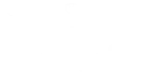 Primer plano de un girasol amarillo vibrante con el centro oscuro, sobre un fondo verde difuminado.