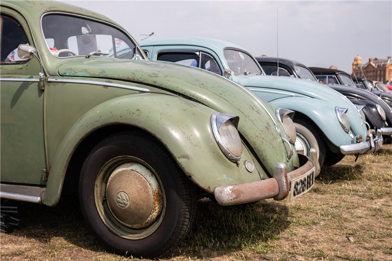Row of rusty vintage Volkswagen Beetles in various colours parked on grass.