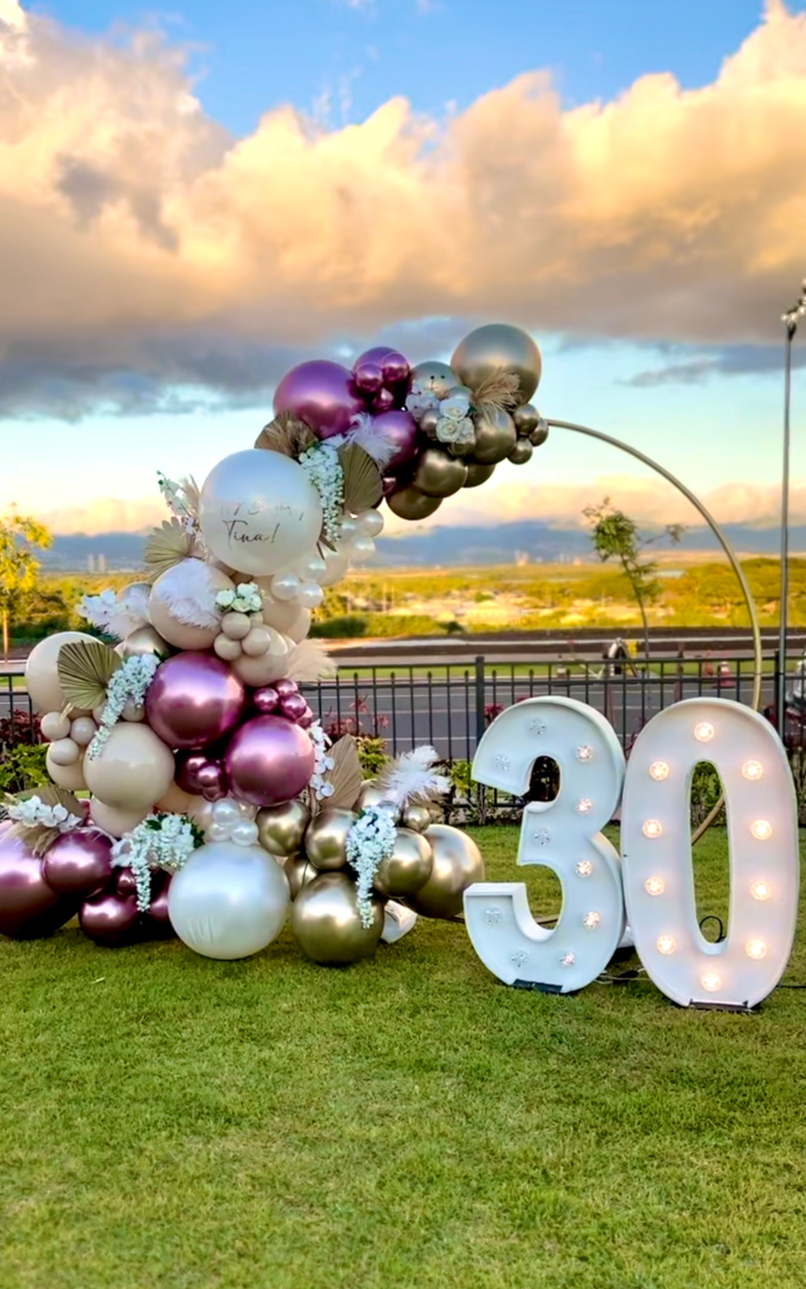 A bunch of balloons are sitting on top of a lush green field.