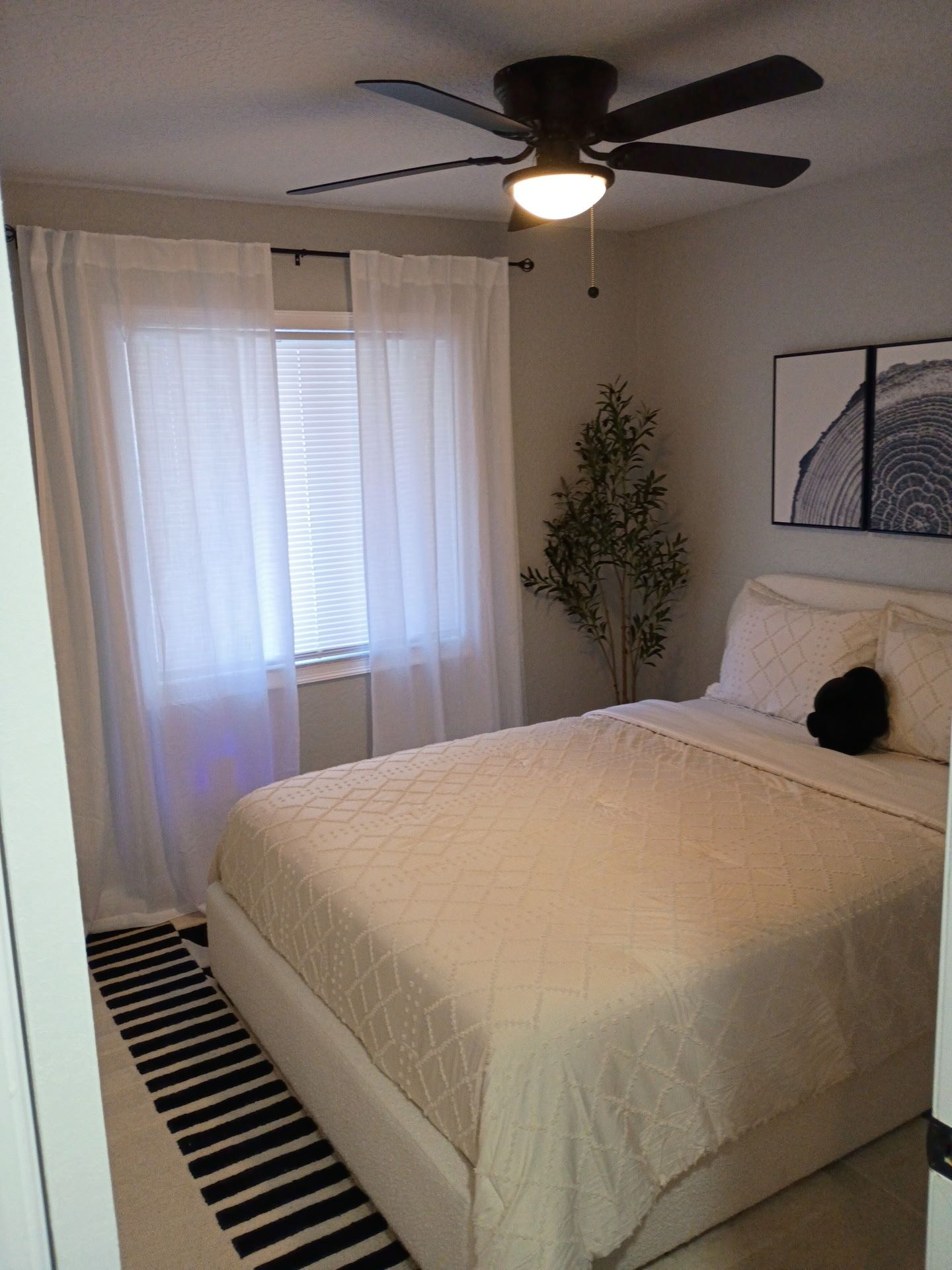 Bedroom with white bed, sheer curtains, black and white rug, and ceiling fan.